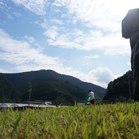 大自然を前にゆったり♪キャンプもできるかわうそ自然公園！軽食も食べられる葉山の茶屋、宿泊できる葉山の郷も併設【高岡郡津野町】