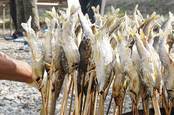 「神楽と鮎と酒に酔う」 鮎の塩焼き