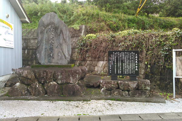 土佐文旦発祥の地