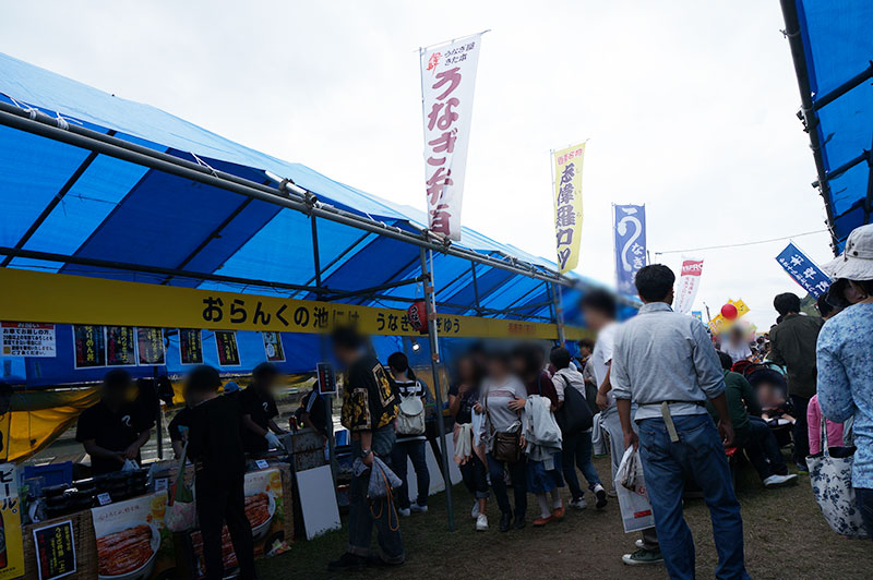 フェスティバル土佐 ふるさとまつり