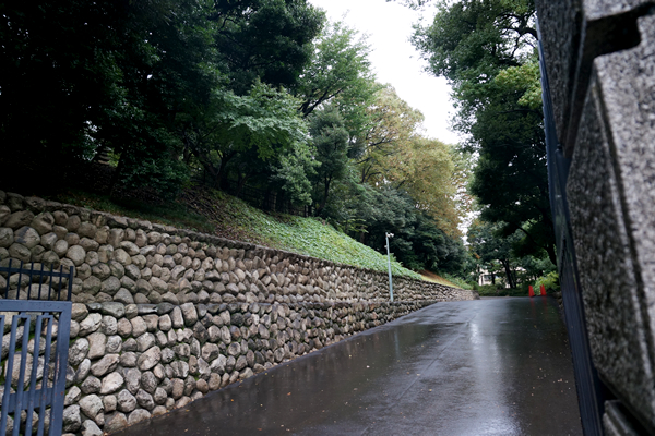 旧岩崎邸庭園 上り坂