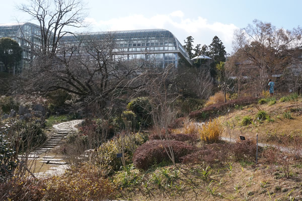 牧野植物園 50周年記念庭園