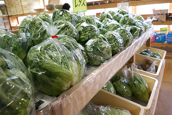 本山さくら市 レタス売り場