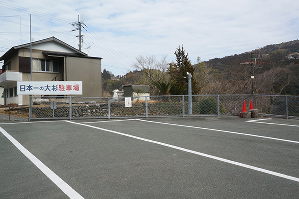 大豊町 日本一の杉の大杉 大型駐車場