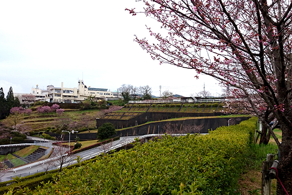 針木浄水場 運動・自然公園 周辺景色