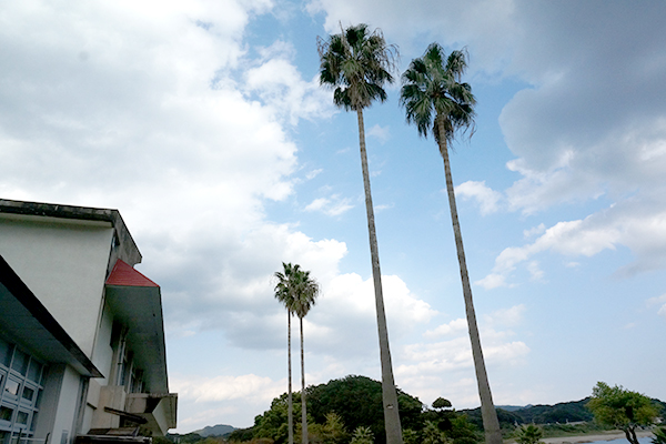 足摺海底館 フェニックス