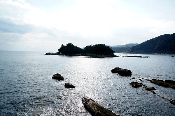 足摺海底館 太平洋側