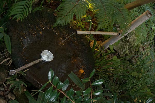 レストラン高知 手水舎みたいな