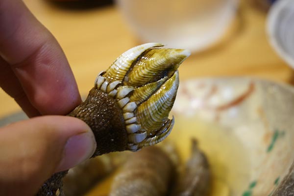 居酒屋いつものところ 十刻の亀の手の手の部分