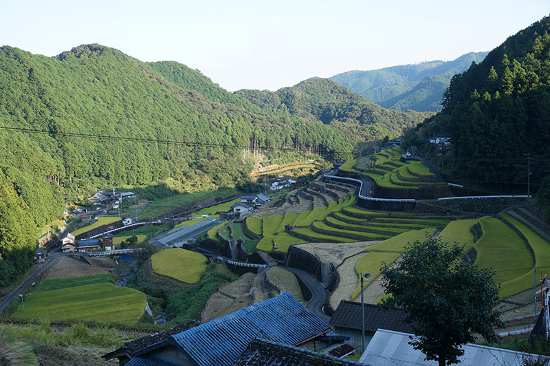 津野町 貝ノ川の棚田の風景