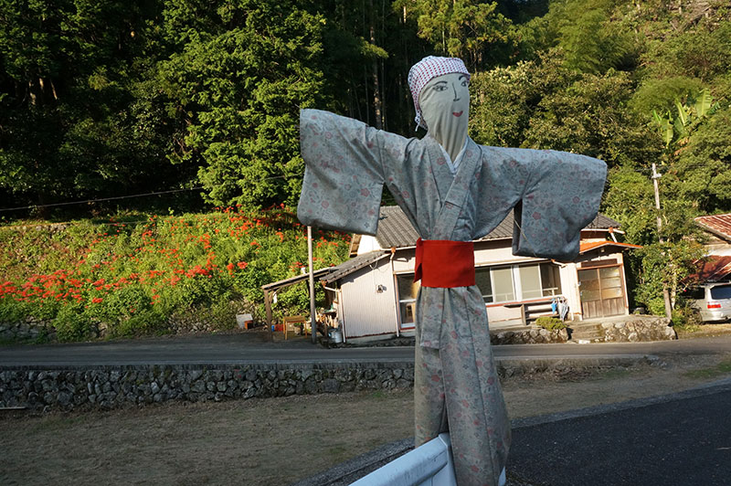 津野町 貝ノ川の棚田にいるかかし