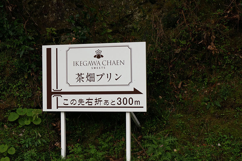 茶畑プリンのある池川茶園までの道