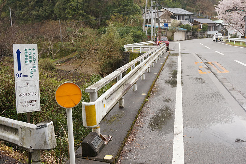 茶畑プリンのある池川茶園までの道