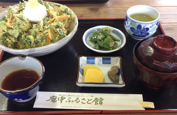 高知家の食卓県民総選挙2015 廓中ふるさと館のかき揚げちりめん丼