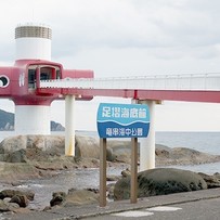 海底や大型水槽で様々な魚を見ることができる足摺海底館・足摺海洋館【土佐清水市】